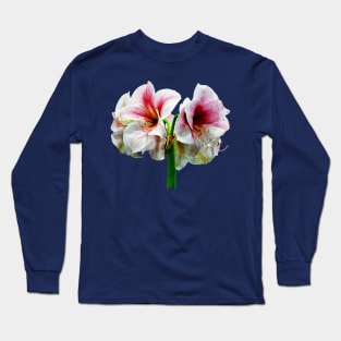 Amaryllis Novella Long Sleeve T-Shirt